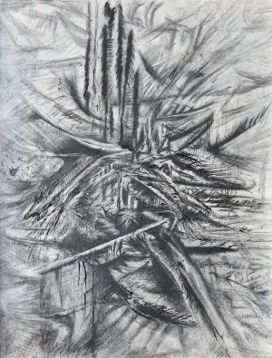 01-encre et fusain 50X65.webp